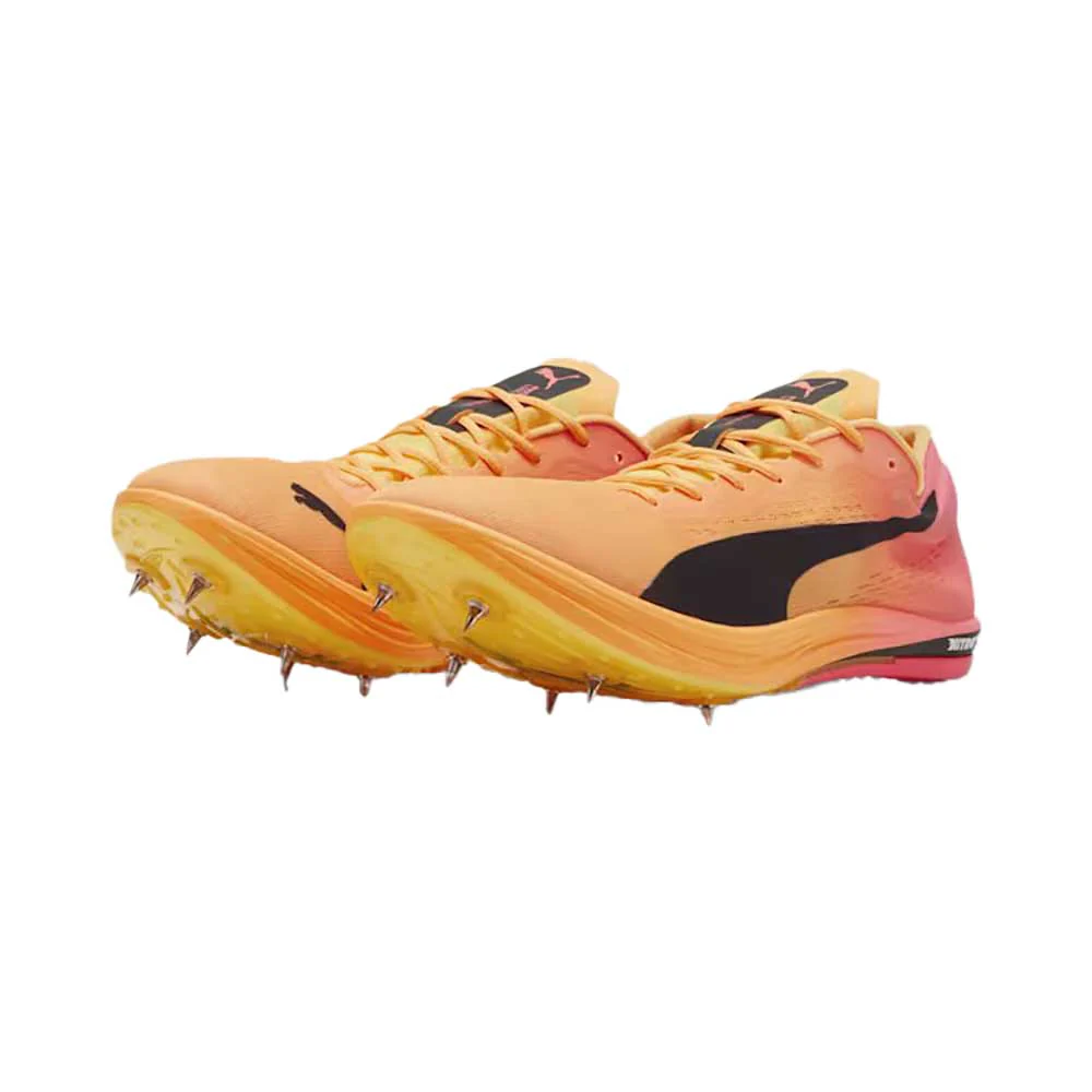 Men's Evospeed Long Distance Nitro Elite 2 Spike - Sun Stream/Sunset Glow/PUMA Black - Regular (D) - Image 3